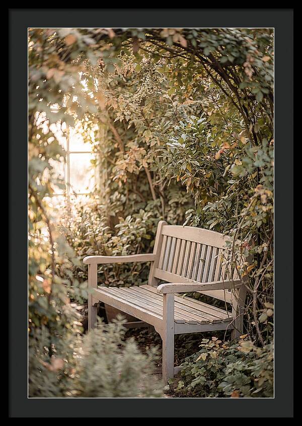 Garden Bench Nestled In Greenery