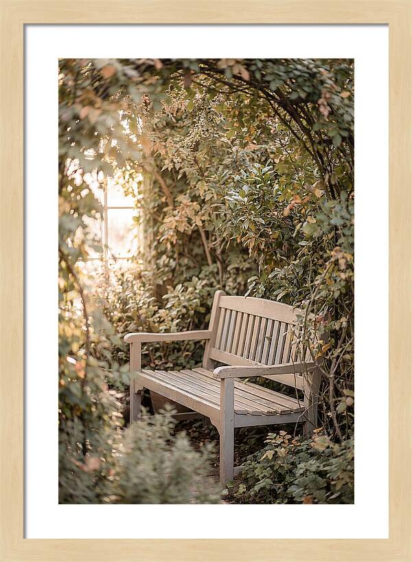 Garden Bench Nestled In Greenery