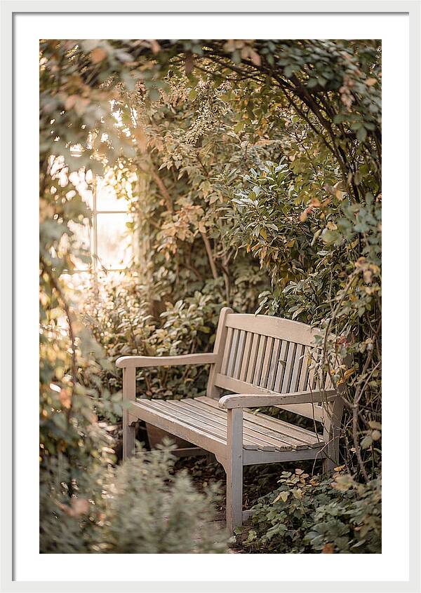 Garden Bench Nestled In Greenery