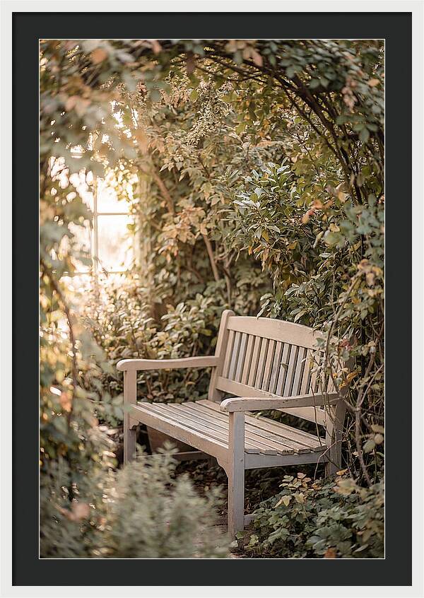 Garden Bench Nestled In Greenery