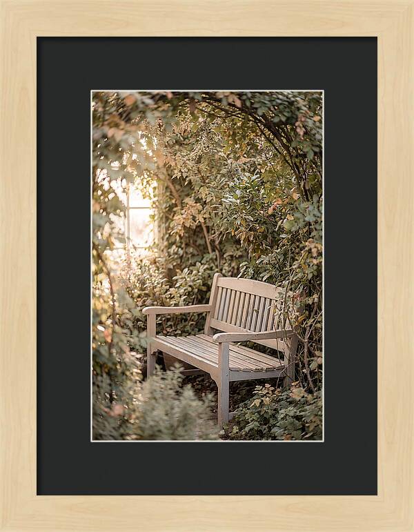 Garden Bench Nestled In Greenery