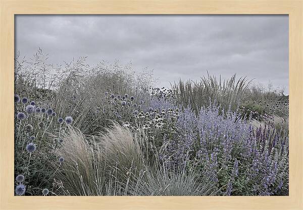 Garden Border With Grasses