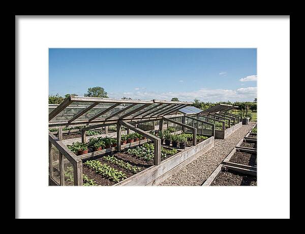 Garden Cold Frame Nursery