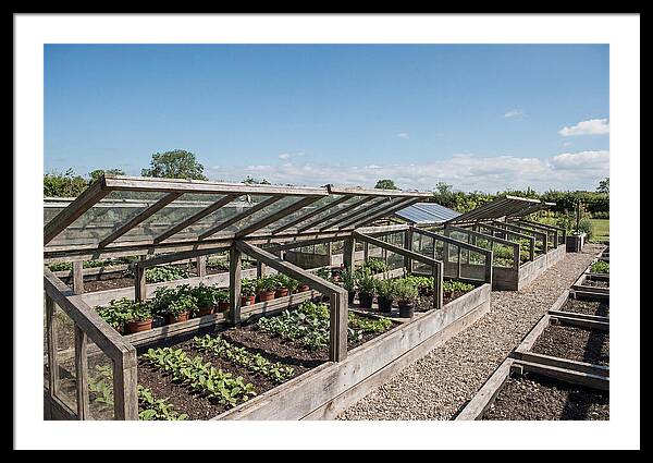 Garden Cold Frame Nursery