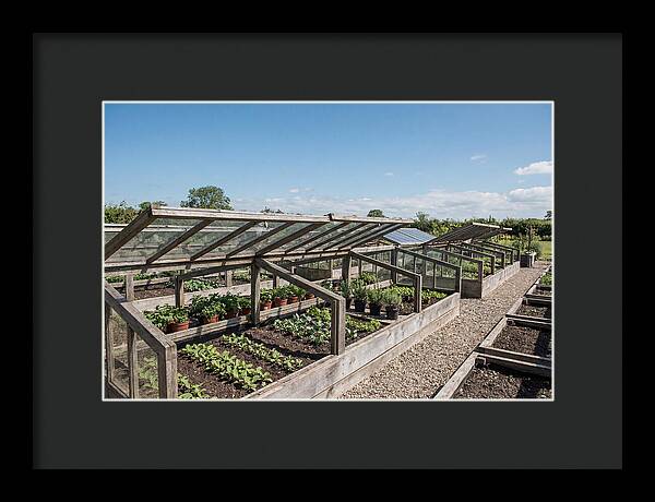 Garden Cold Frame Nursery