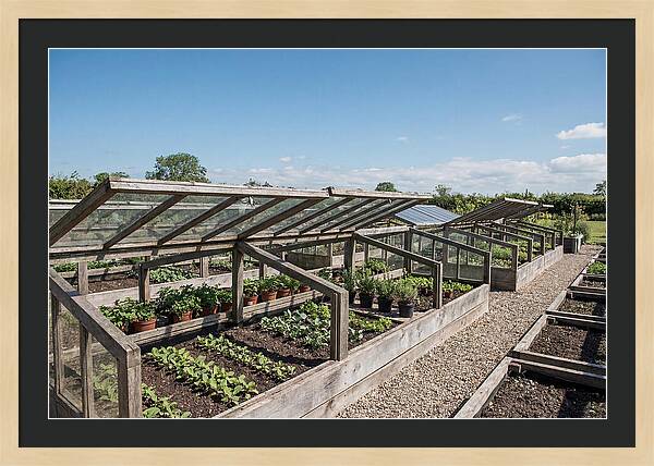 Garden Cold Frame Nursery