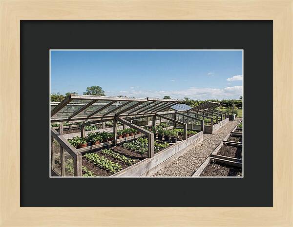 Garden Cold Frame Nursery
