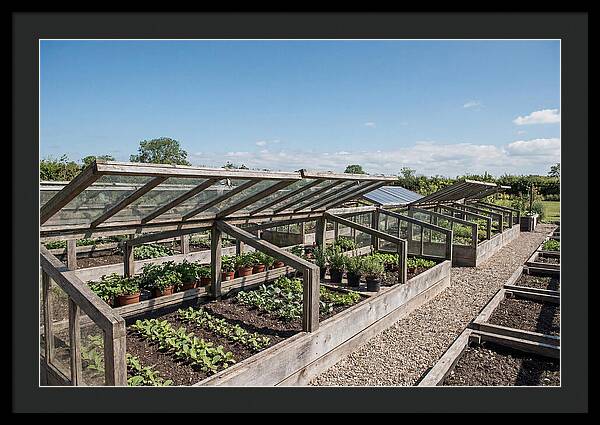 Garden Cold Frame Nursery