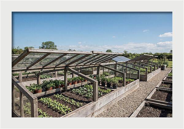 Garden Cold Frame Nursery