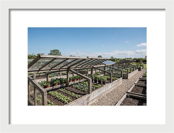 Garden Cold Frame Nursery