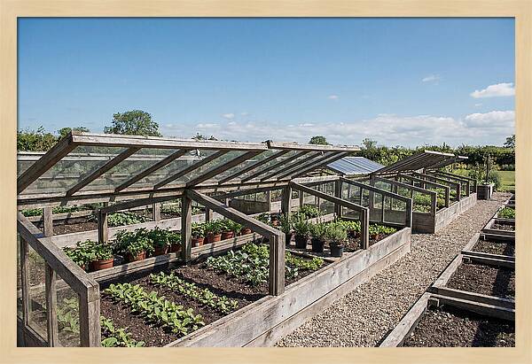 Garden Cold Frame Nursery