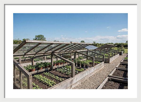 Garden Cold Frame Nursery