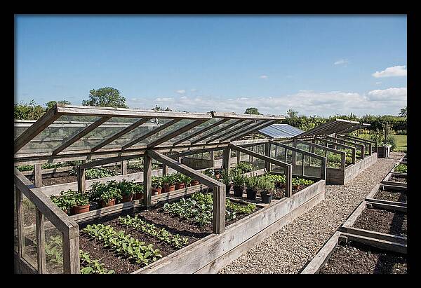Garden Cold Frame Nursery