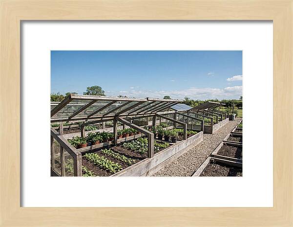 Garden Cold Frame Nursery