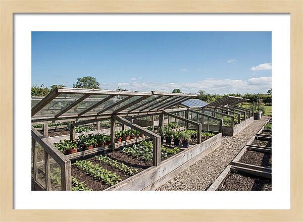 Garden Cold Frame Nursery
