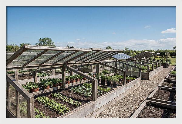 Garden Cold Frame Nursery