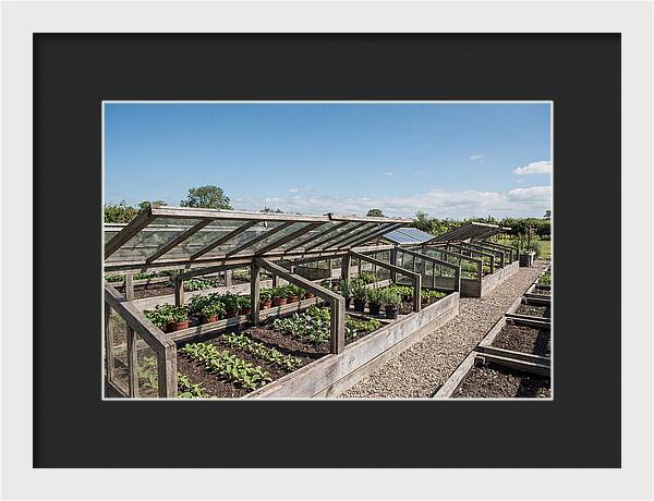 Garden Cold Frame Nursery