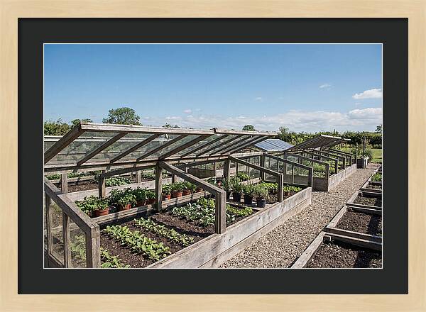Garden Cold Frame Nursery