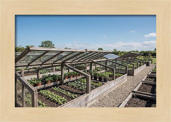 Garden Cold Frame Nursery