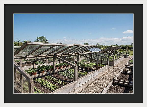 Garden Cold Frame Nursery
