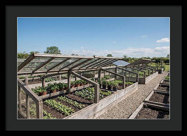Garden Cold Frame Nursery