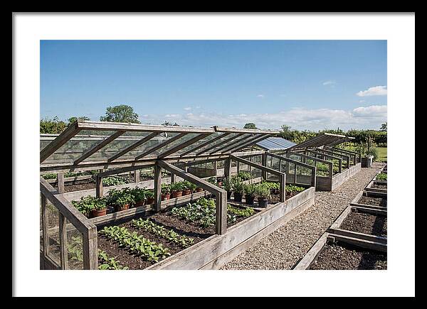 Garden Cold Frame Nursery
