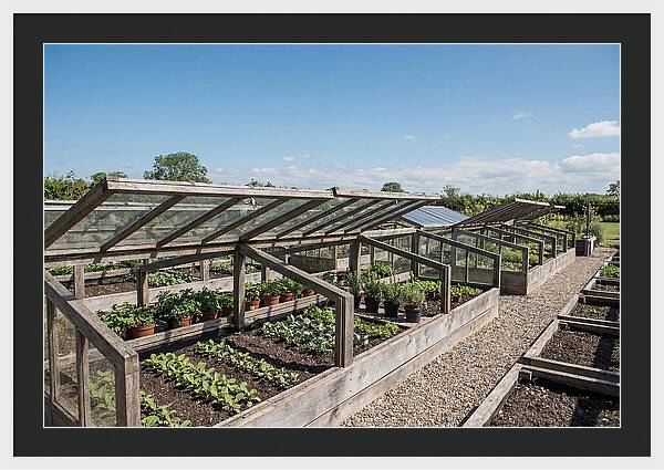 Garden Cold Frame Nursery