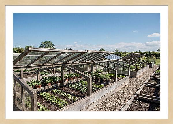 Garden Cold Frame Nursery