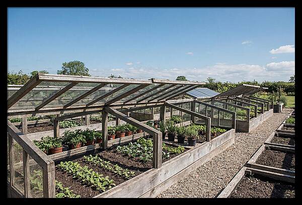 Garden Cold Frame Nursery