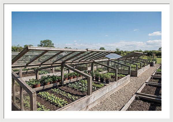 Garden Cold Frame Nursery