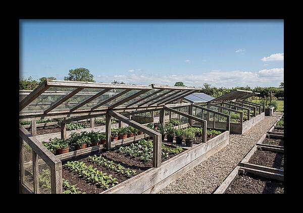 Garden Cold Frame Nursery