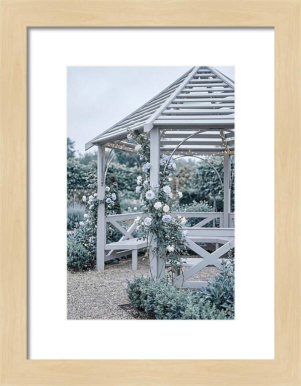 Garden Gazebo Embraced By Roses