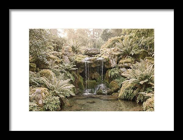 Garden Grotto With Ferns And Dripping Water