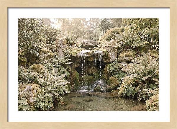 Garden Grotto With Ferns And Dripping Water