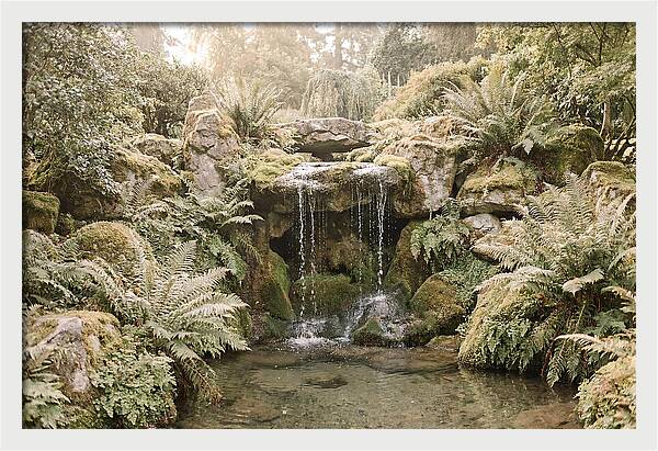 Garden Grotto With Ferns And Dripping Water