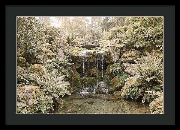 Garden Grotto With Ferns And Dripping Water