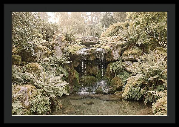 Garden Grotto With Ferns And Dripping Water