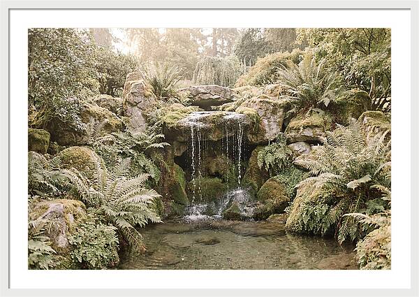 Garden Grotto With Ferns And Dripping Water