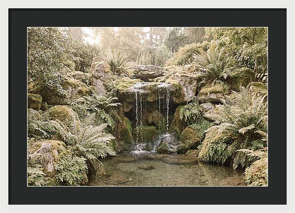 Garden Grotto With Ferns And Dripping Water