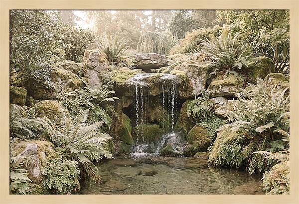 Garden Grotto With Ferns And Dripping Water