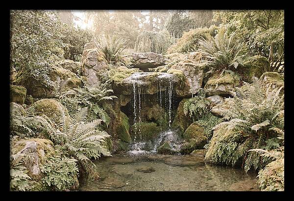 Garden Grotto With Ferns And Dripping Water