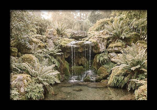 Garden Grotto With Ferns And Dripping Water