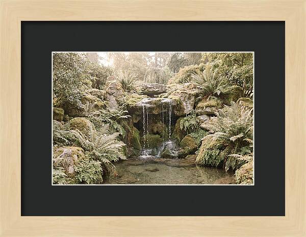 Garden Grotto With Ferns And Dripping Water