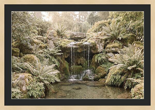Garden Grotto With Ferns And Dripping Water