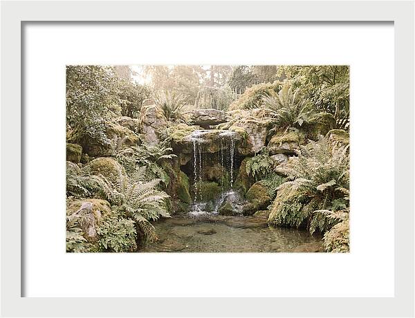 Garden Grotto With Ferns And Dripping Water