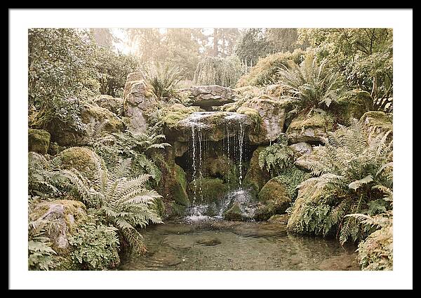 Garden Grotto With Ferns And Dripping Water