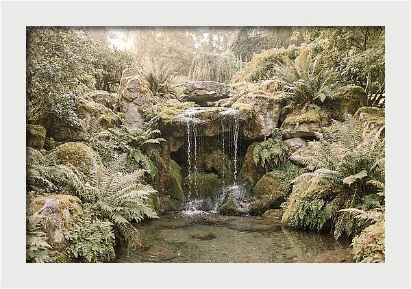 Garden Grotto With Ferns And Dripping Water