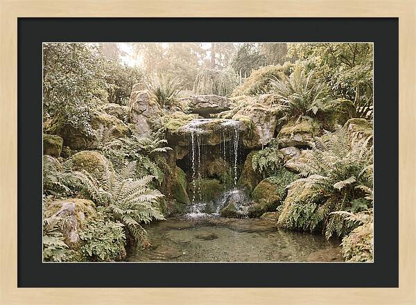 Garden Grotto With Ferns And Dripping Water