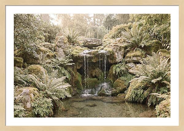 Garden Grotto With Ferns And Dripping Water