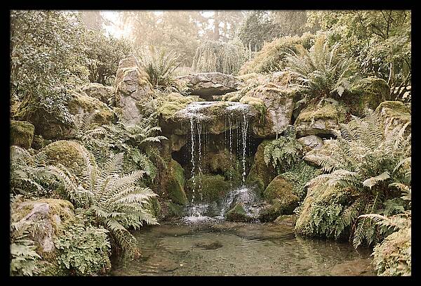 Garden Grotto With Ferns And Dripping Water